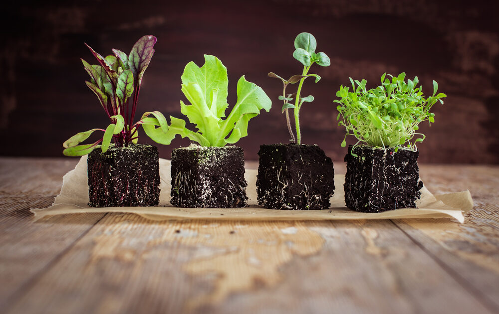 Who says you need plastic to farm... these environmental farmers don't.