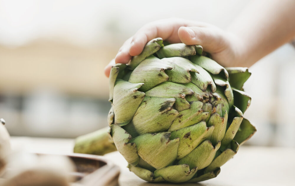 Forget Fat and Antioxidants: Fiber Rich Foods Trump All Food Fads