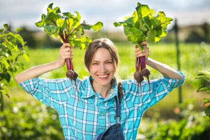 Organic Farming Way More Profitable than Conventional, Study Finds