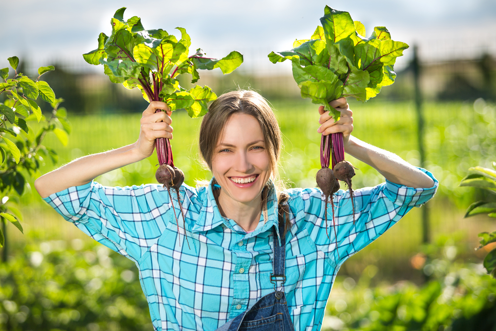 Organic Farming Way More Profitable than Conventional, Study Finds