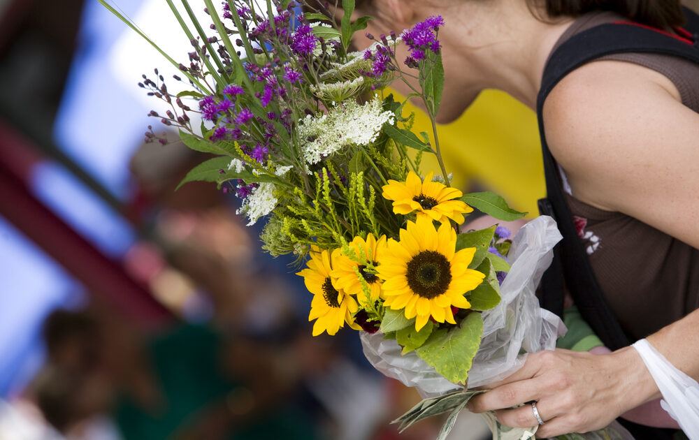 cut flowers