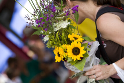 cut flowers