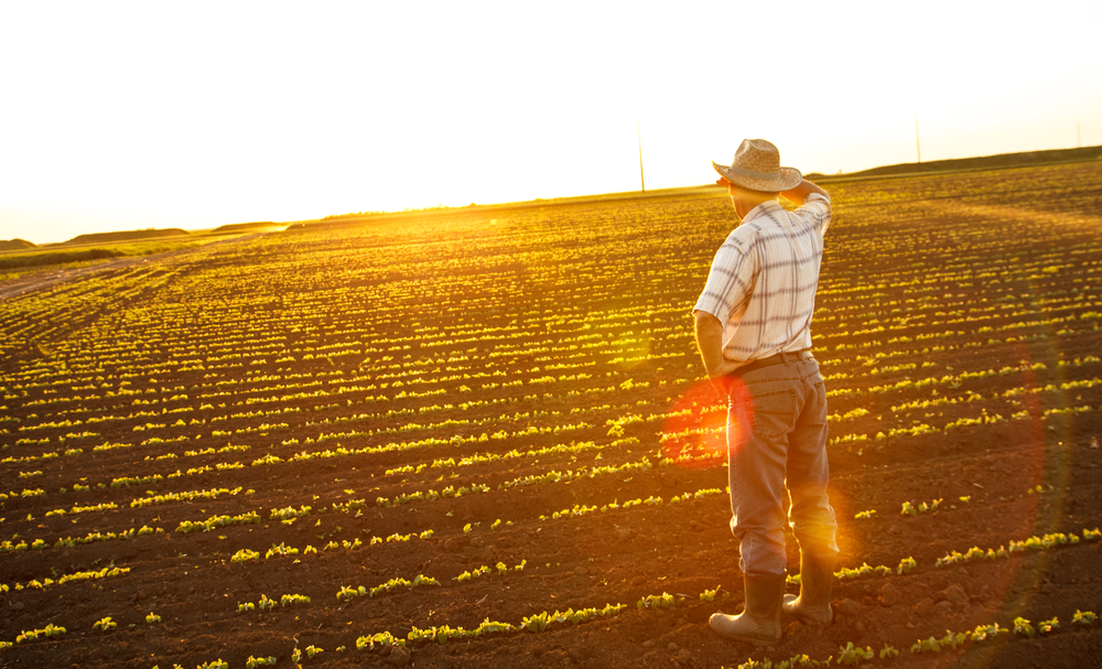Organic Trade Group Loses Farmer Members Over Controversial GMO Labeling Bill
