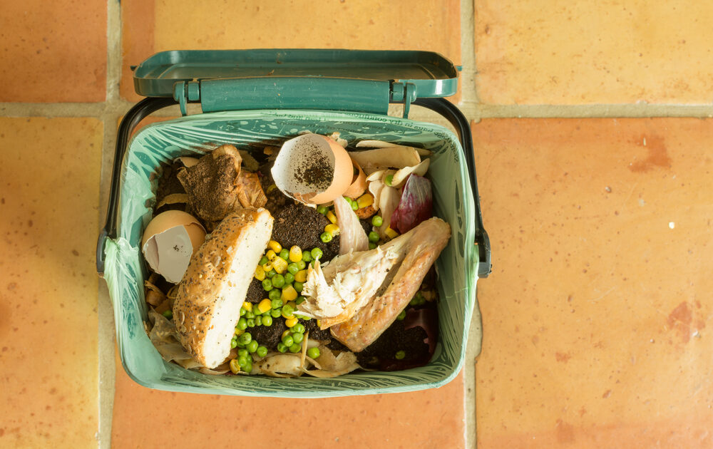 4 Startups Solving America’s Food Waste Problem