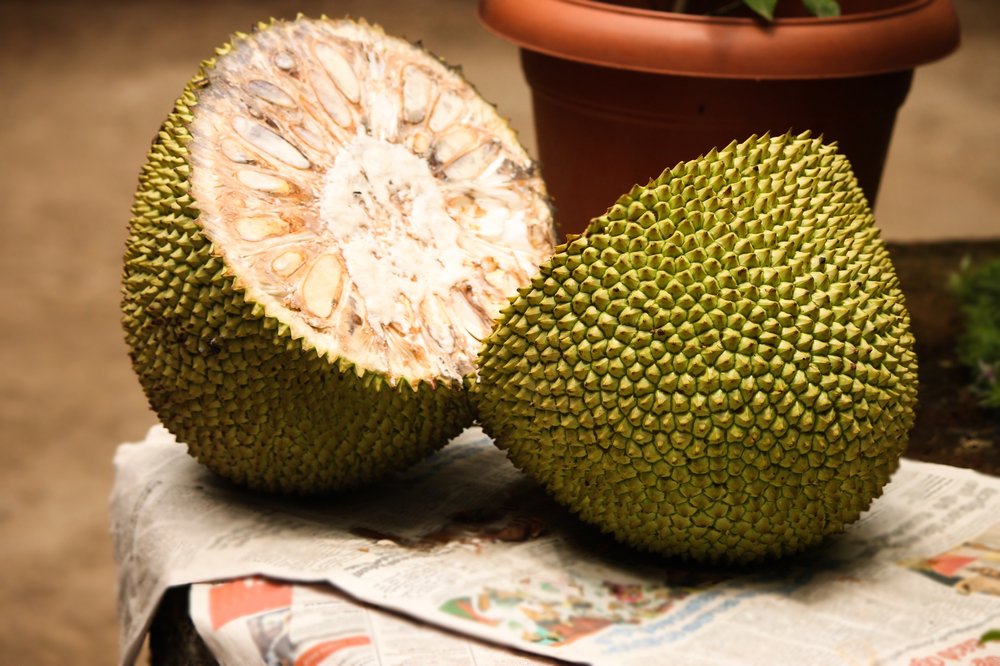 jackfruit nutrition