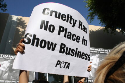 Is Exploiting Sex Okay In The Name of Animal Rights? PETA Debuts Its XXX Domain