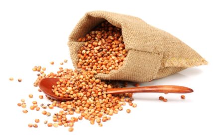 Discover the Sorghum Grain (Plus 11 Sorghum Recipes!)