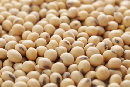 soybeans