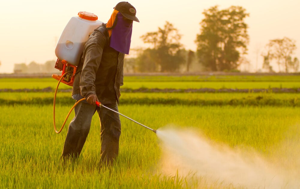 EPA Proposes to Ban Use of Chlorpyrifos in Agriculture which is harmful though used on conventionally grown produce.