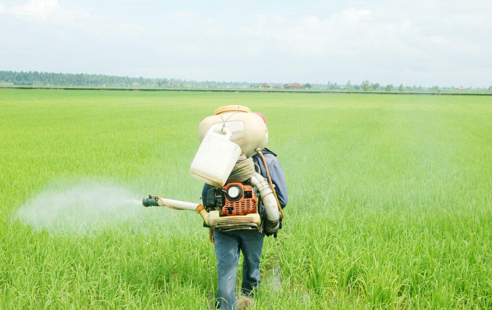 EPA Announces Tougher Rules to Protect Farm Workers from Pesticide Poisoning
