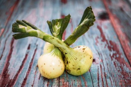 7 Kitchen Scraps for Regrowing Vegetables and Reducing Food Waste