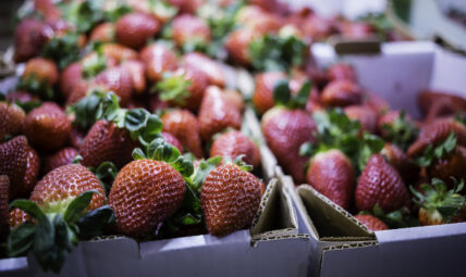 Strawberries Top EWG's 'Dirty Dozen' List, Spinach Jumps to Second Spot