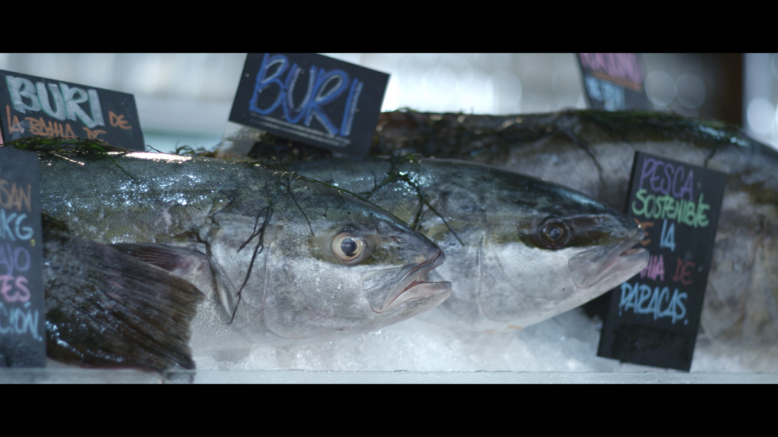 sustainable fish