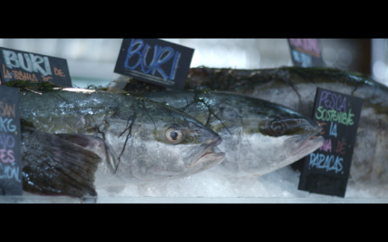 sustainable fish