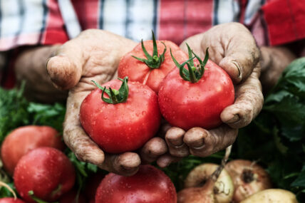 The Top 25 Food Stories of 2016