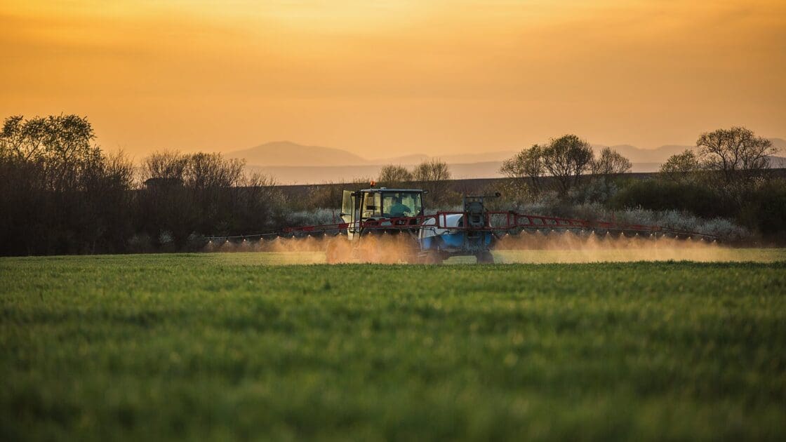 gmo safety