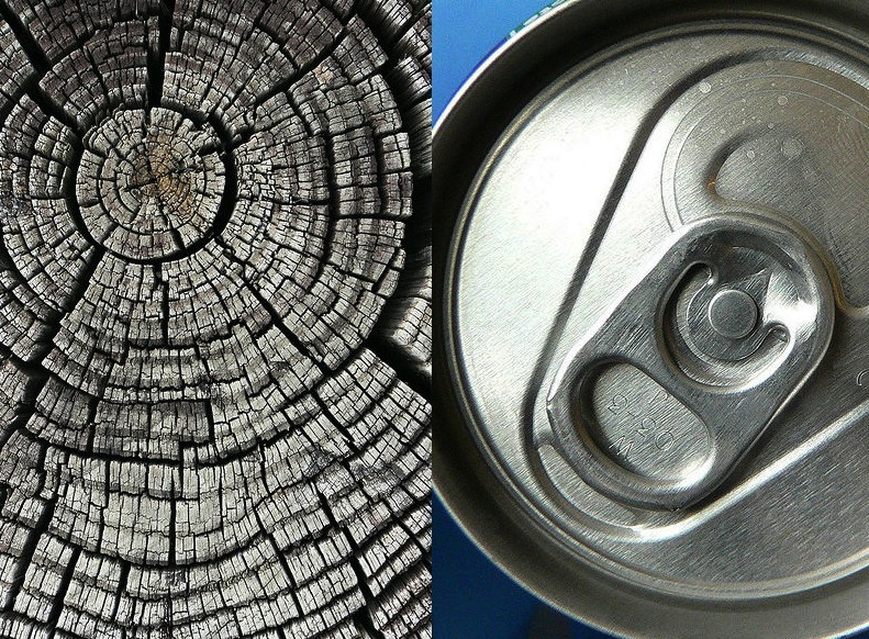 tree can