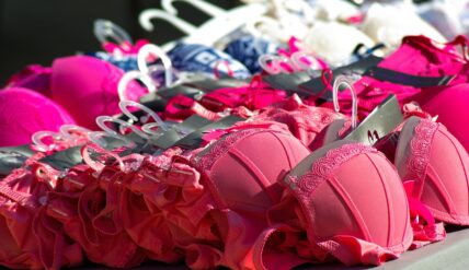 bras and breast cancer