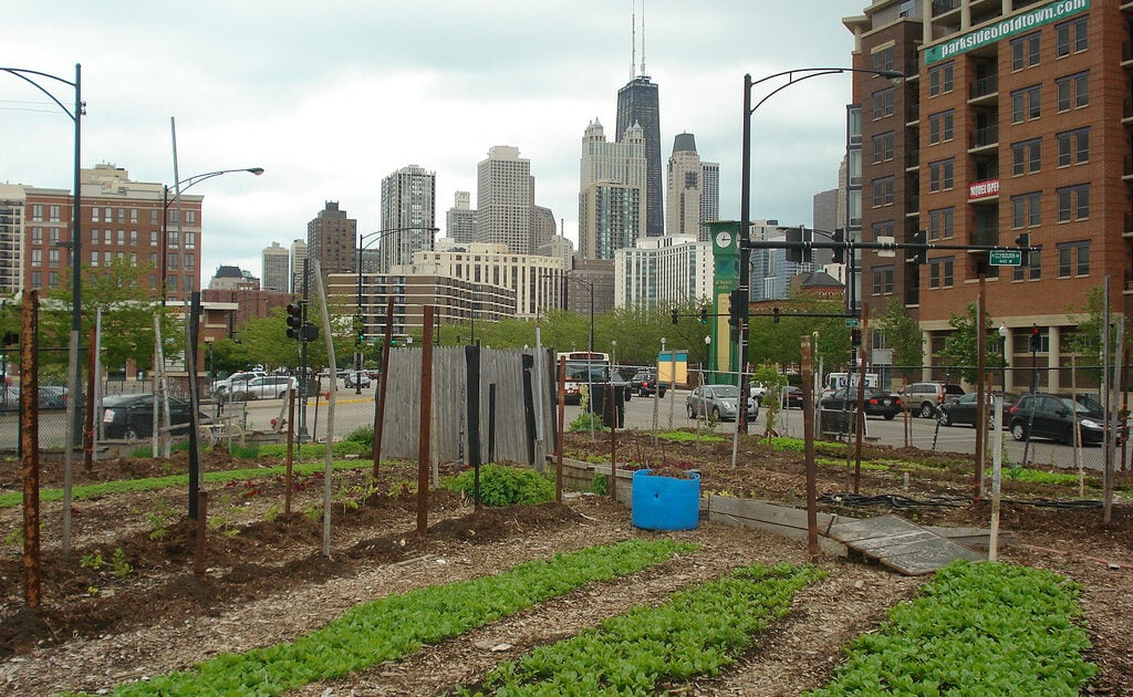 urban farm