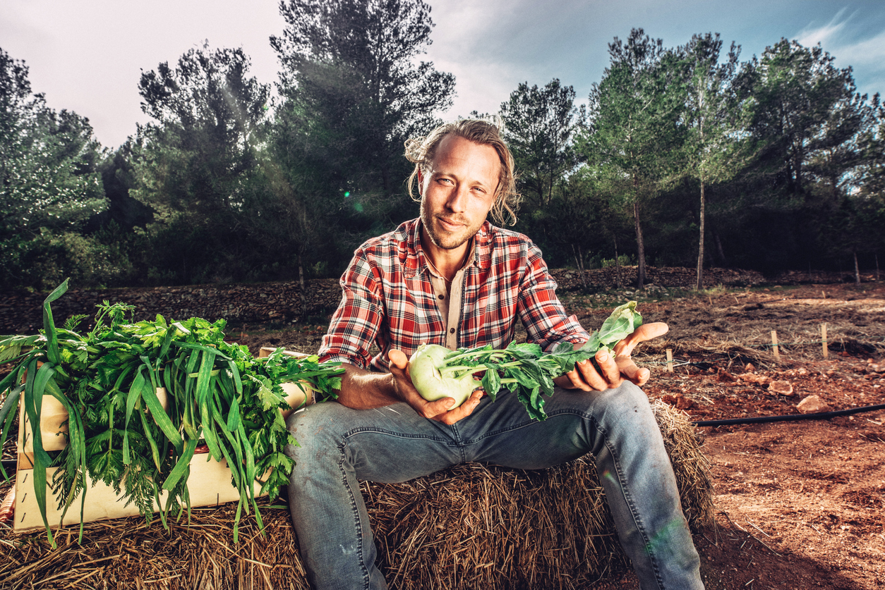 USDA to Reimburse Organic and Transitional Farmers