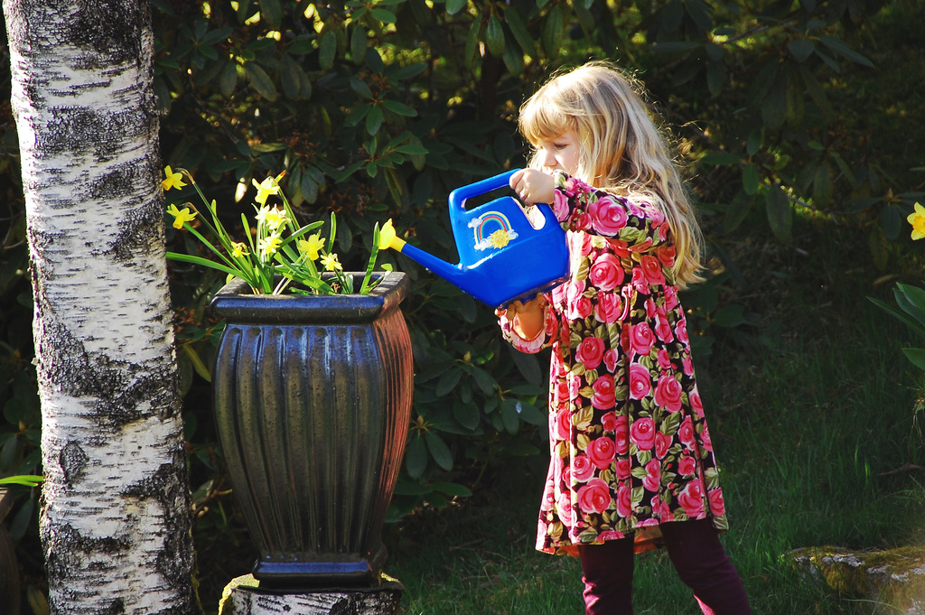 watering