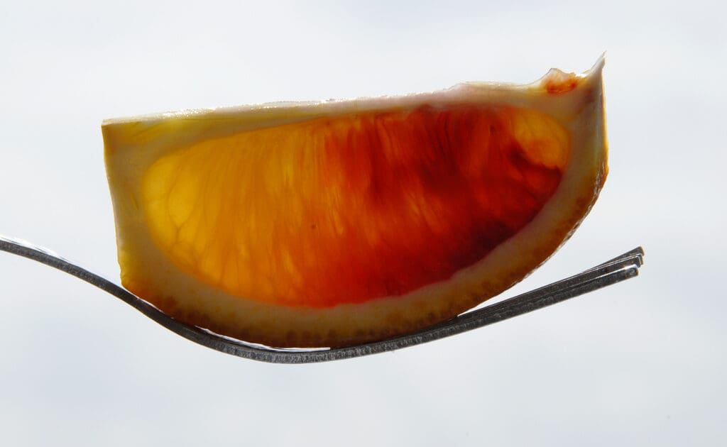 lemon wedge