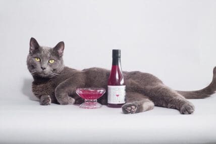 Wine for Cats