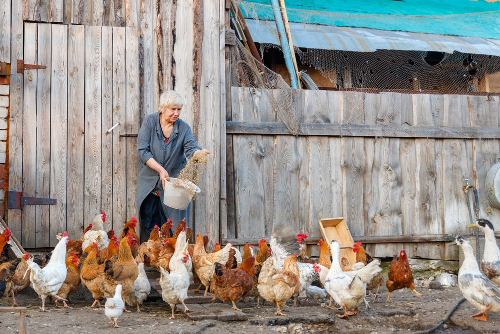 women farming