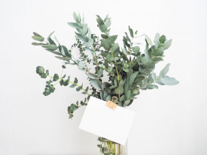 best gifts for your favorite zodiac sign