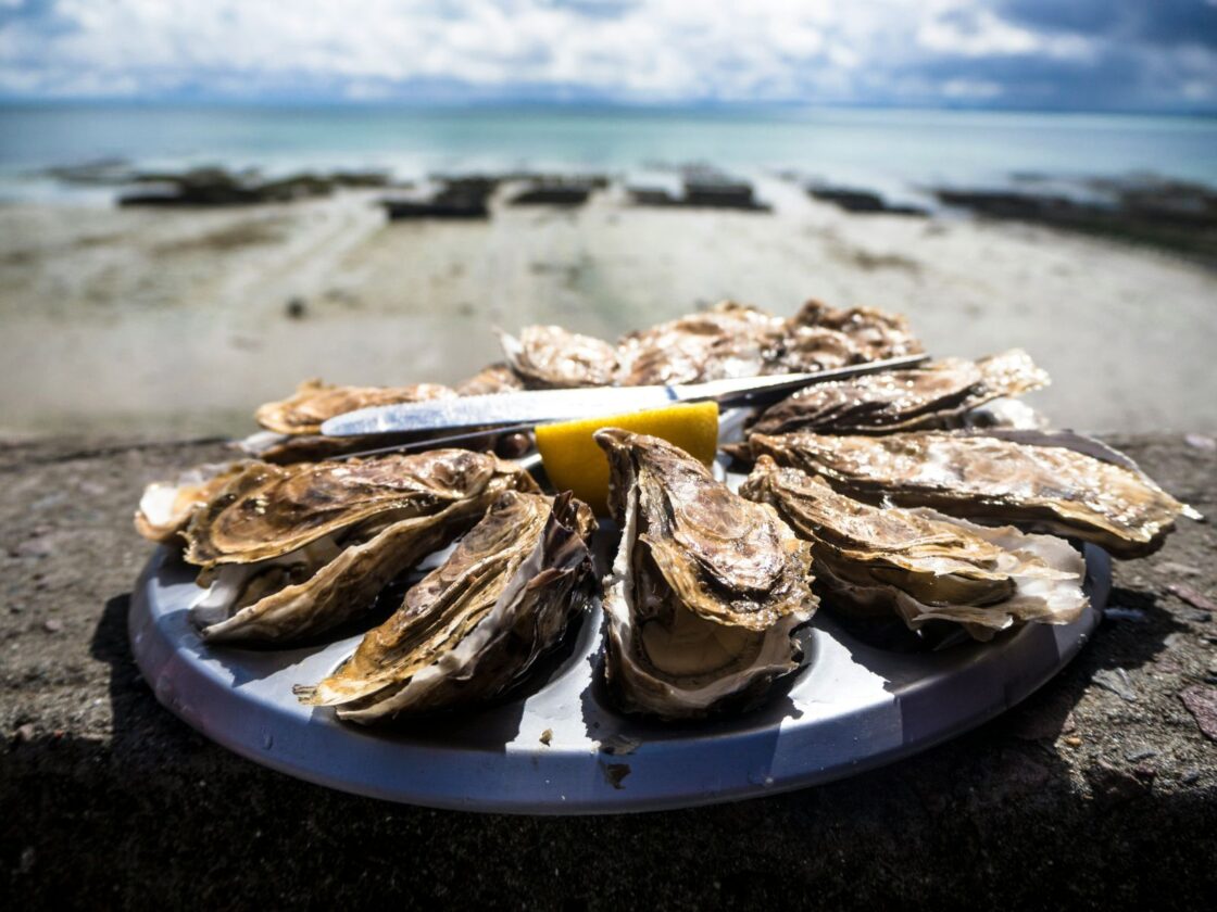 Oysters Unsplash