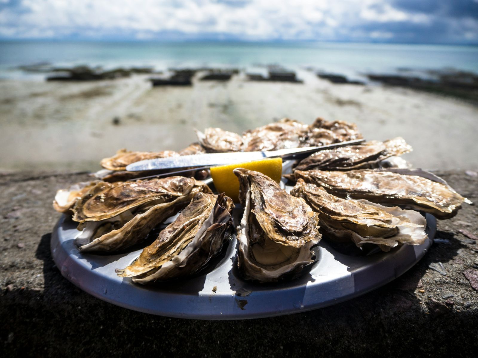 Oysters Unsplash