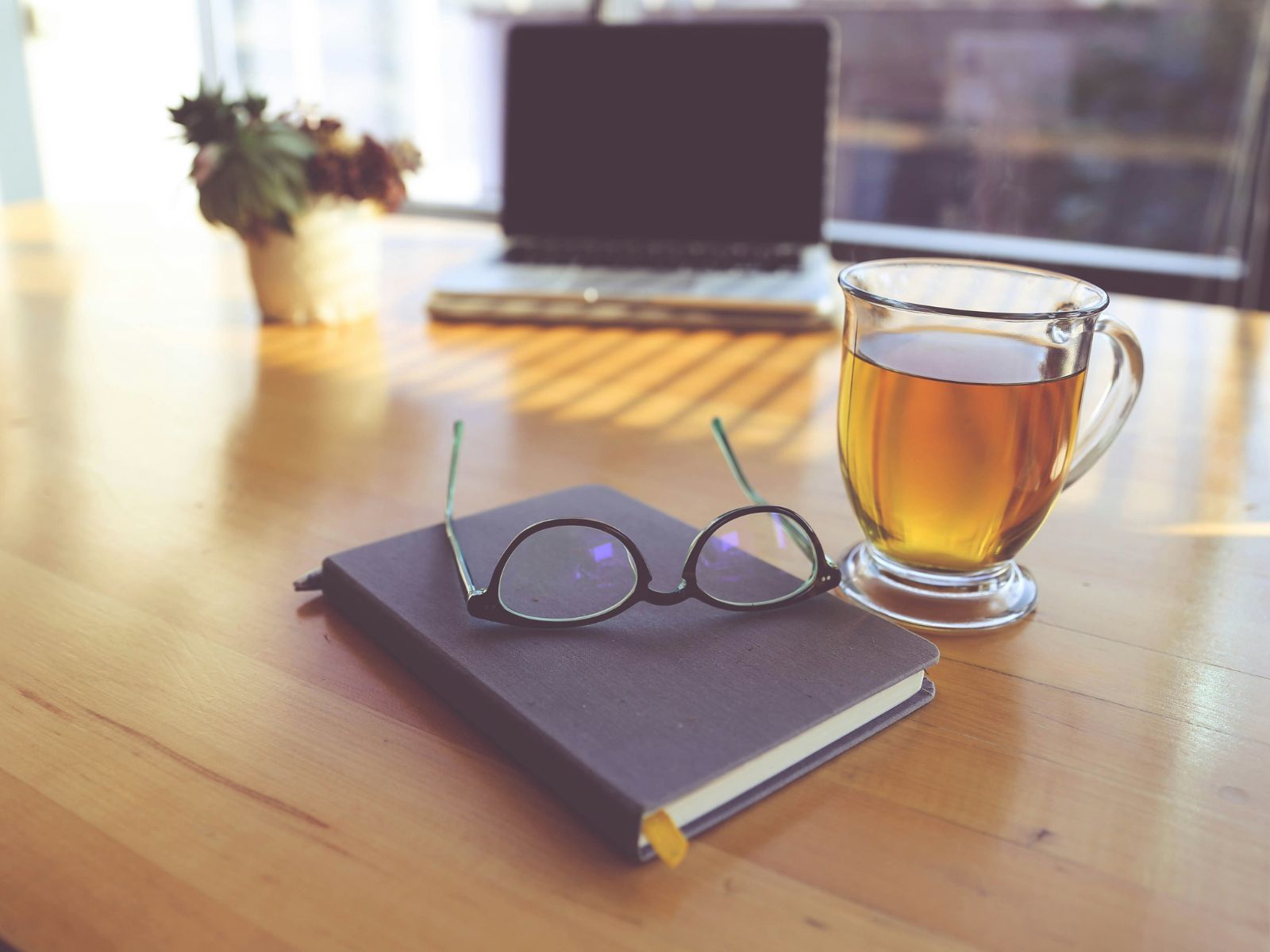 Tea Concentrating, Unsplash