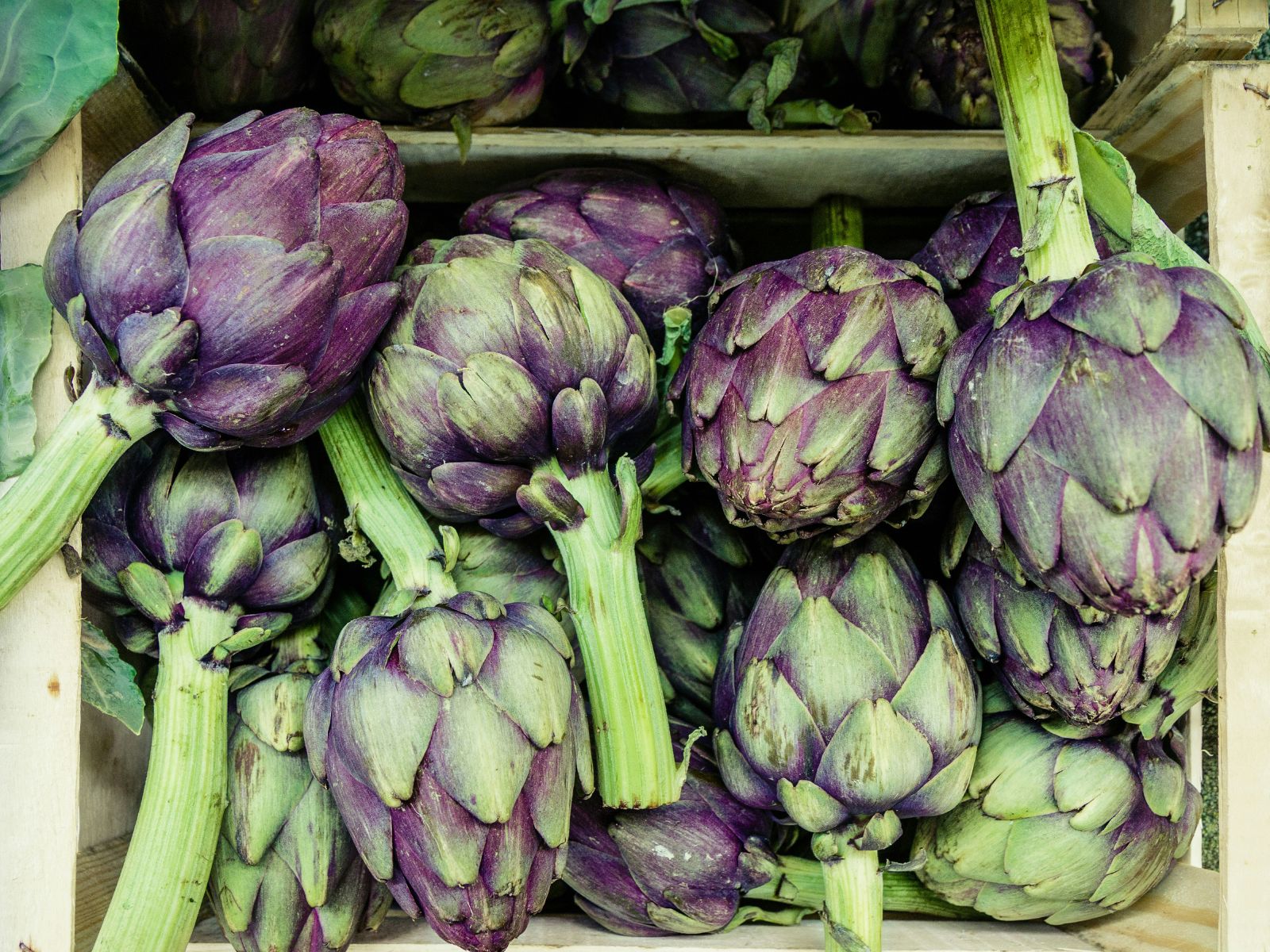 Artichoke, Purple Fruits and Vegetables, Unsplash