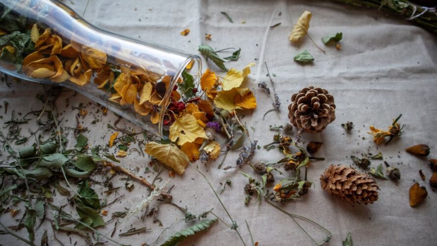 Autumn Centerpieces Unsplash