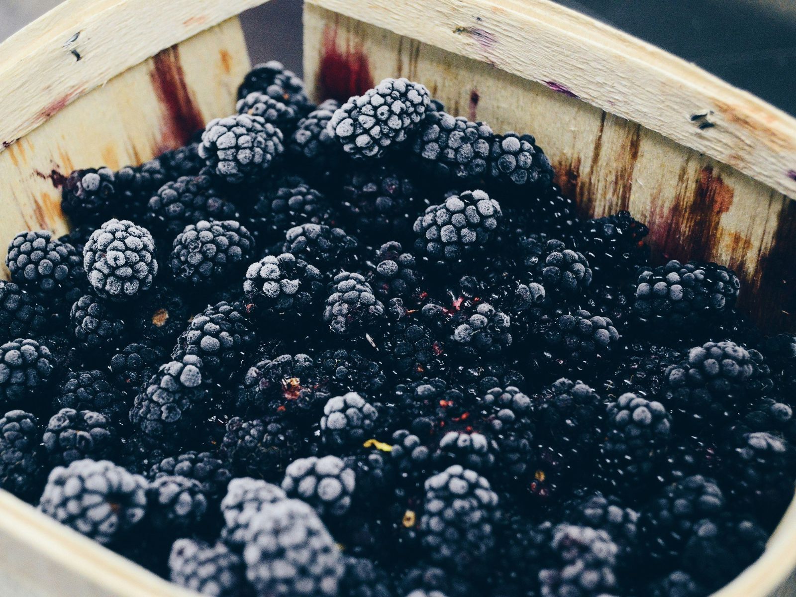 Blackberry, Purple Fruits and Vegetables, Unsplash