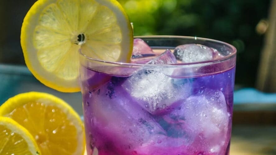Blueberry Lemonade Google Images
