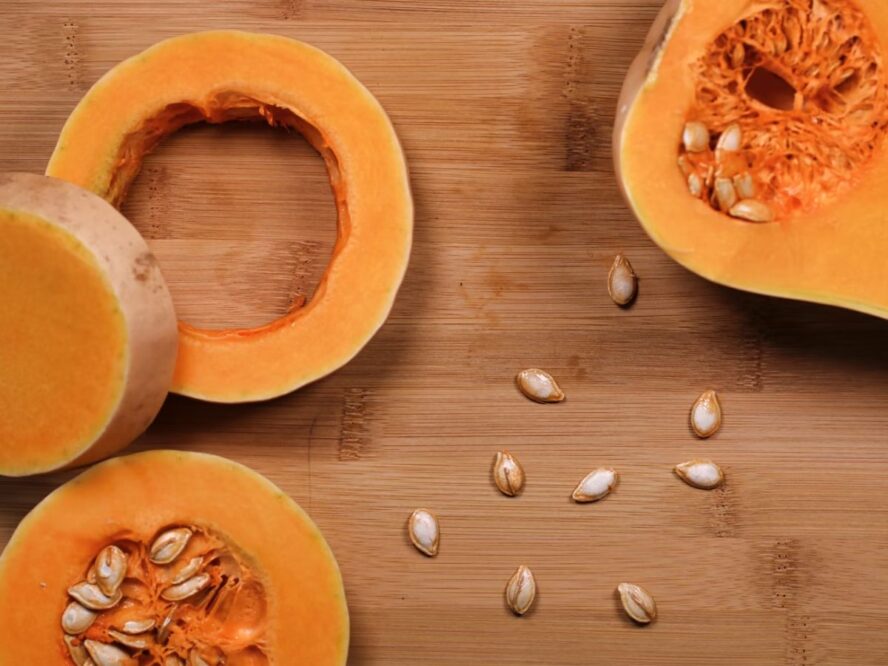 Butternut Squash Recipes More Unsplash