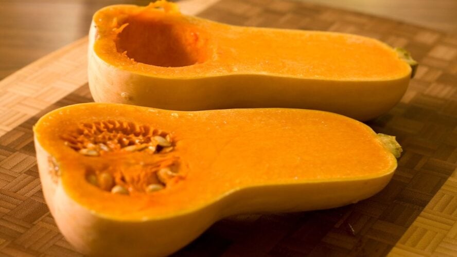 Butternut Squash Winter Squash Unsplash