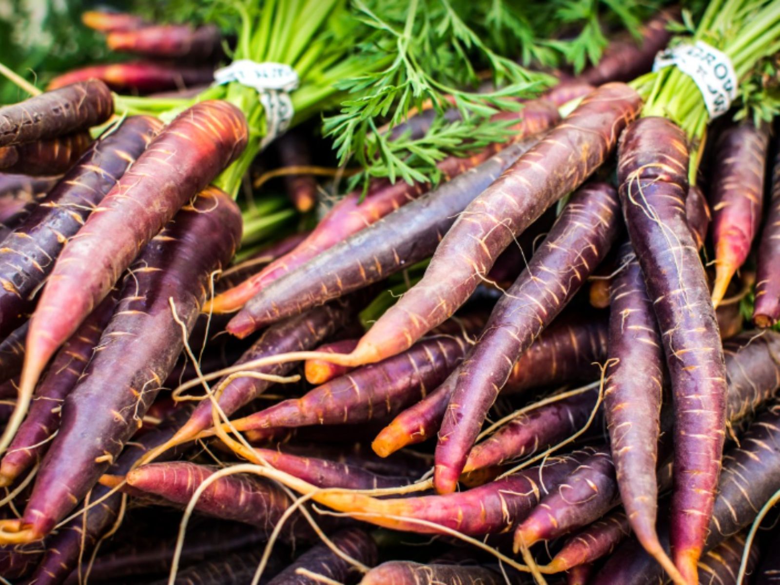 Carrot, Purple Fruits and Vegetables, Wiki Commons