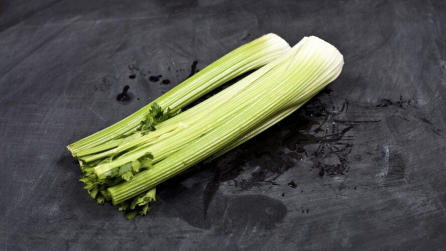 Celery Juice Recipes Benefits of Celery Juice Unsplash