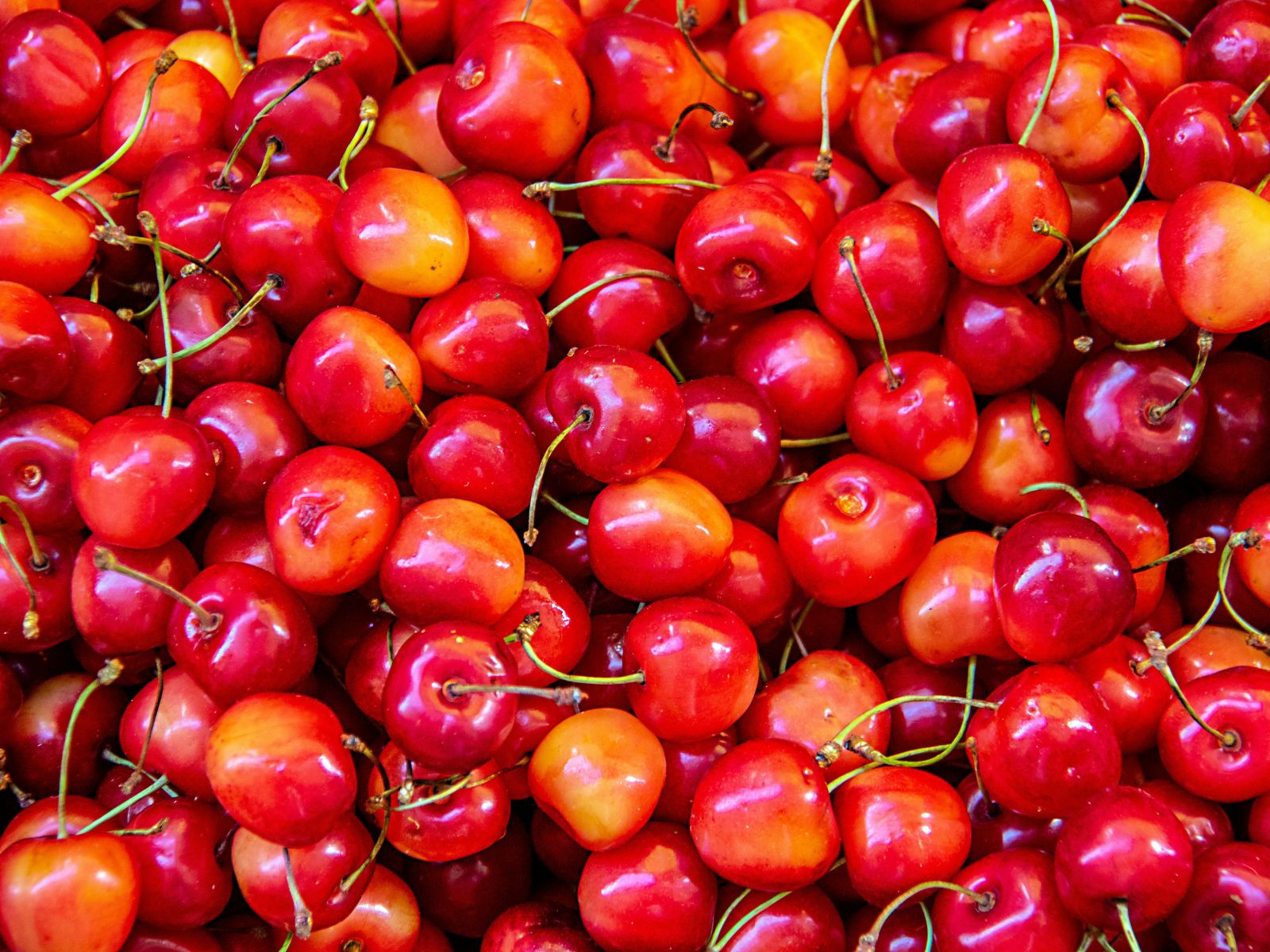 Cherries, Purple Fruits and Vegetables, Unsplash