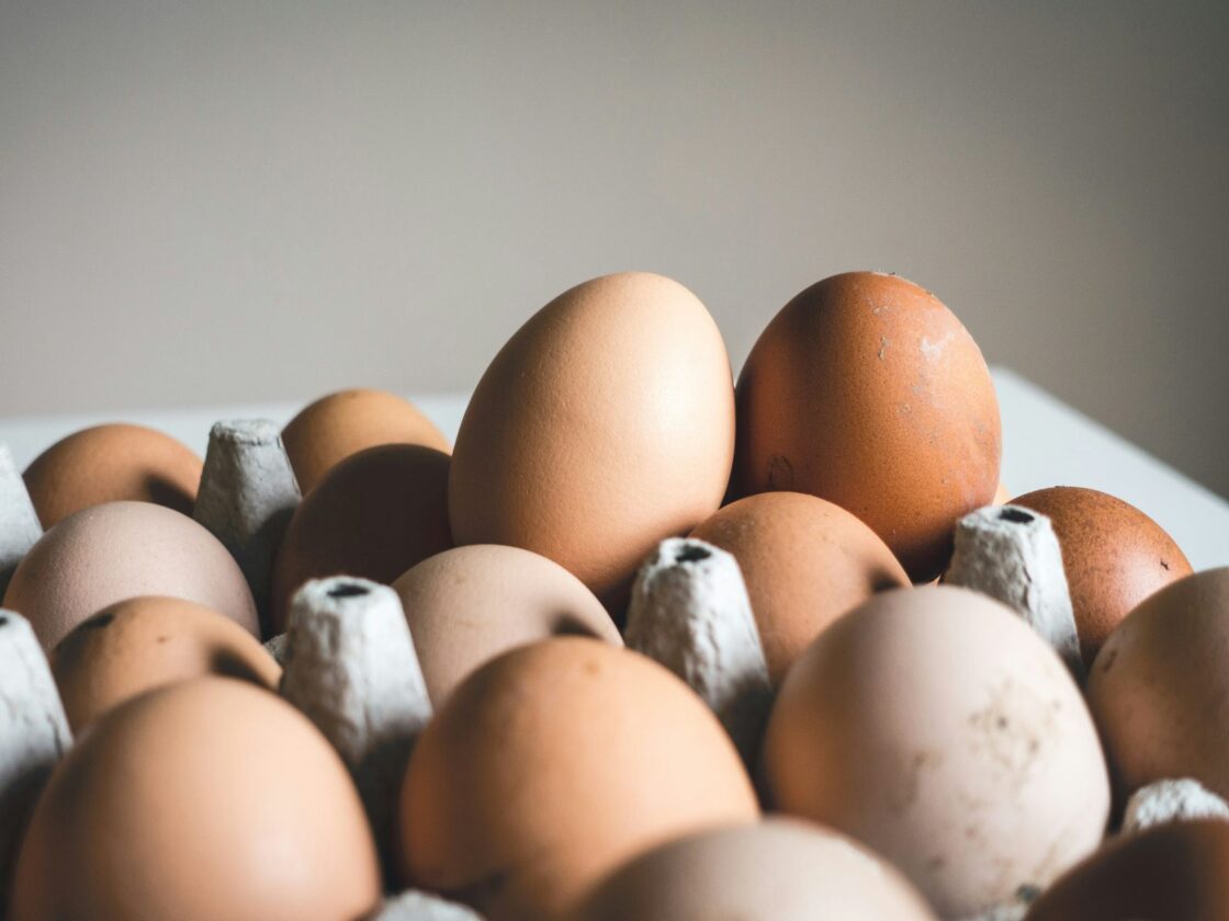 Chia Egg Substitute, Unsplash