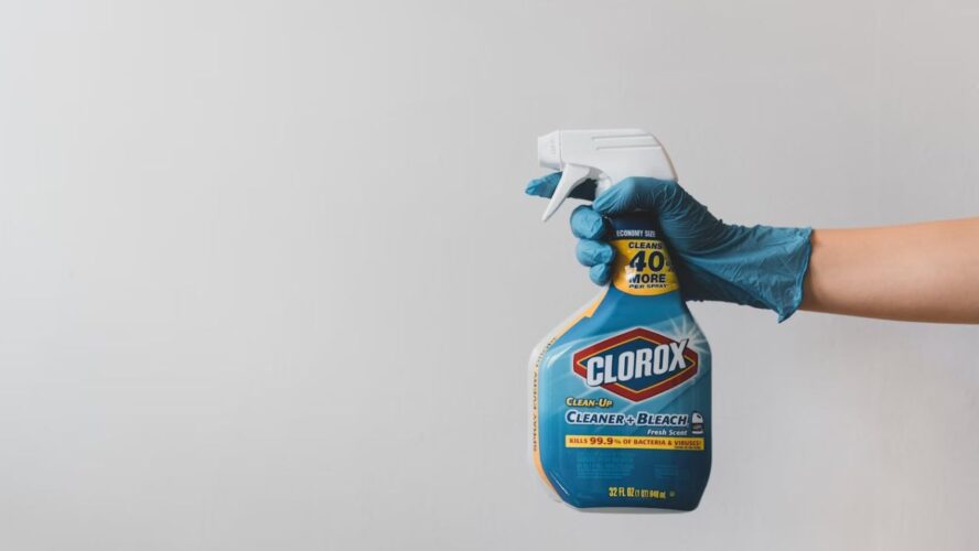 Clorox household cleaners to avoid Unsplash