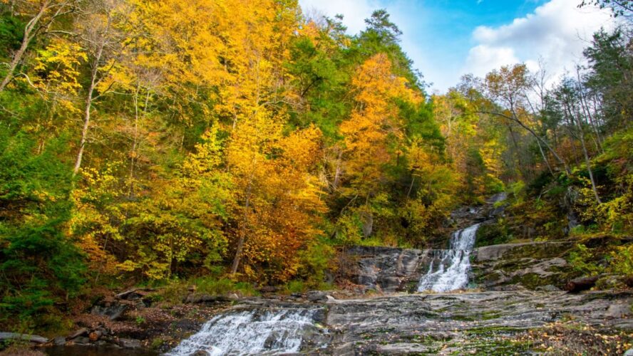 Connecticut Summer Wellness Retreats Unsplash
