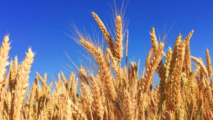 Contaminations Unsplash