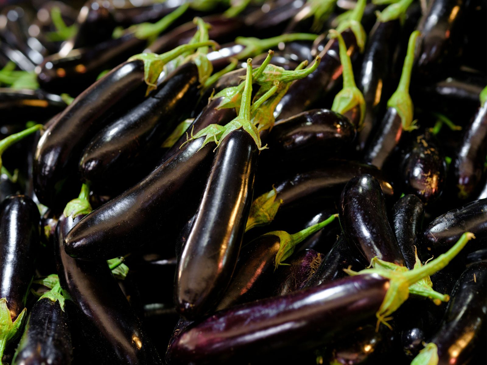 Eggplant, Purple Fruits and Vegetables, Unsplash