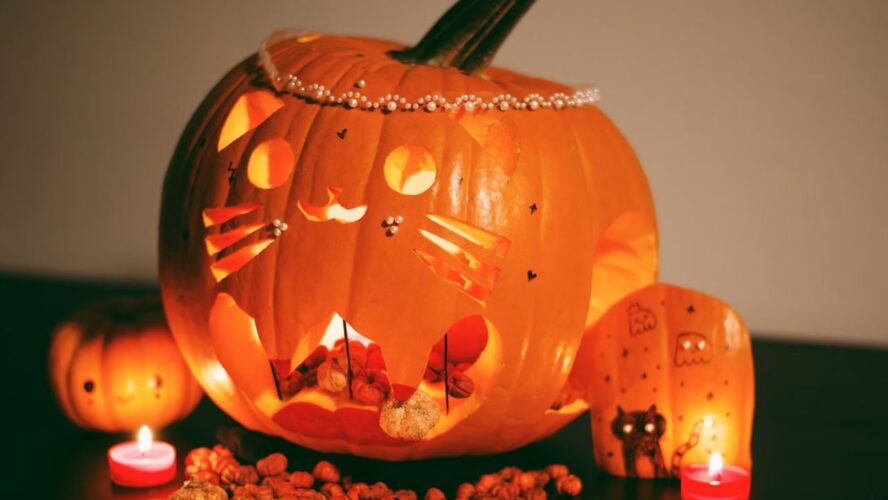 Etch Pumpkins Unsplash