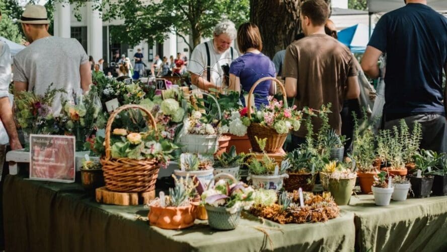Farmers Market Experience Unsplash