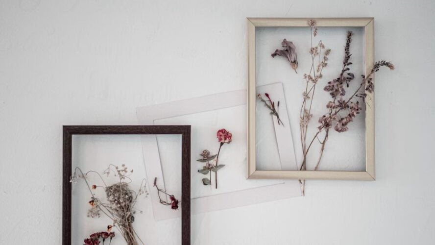 Frame Dried Flowers Unsplash