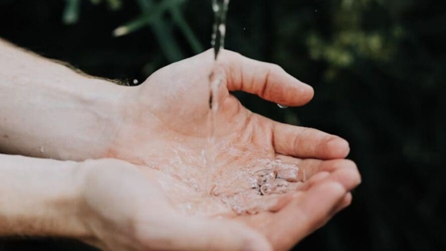 GMO Requirements Unsplash